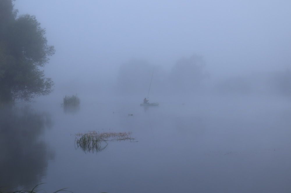 Photograph by Надежда Гаазе