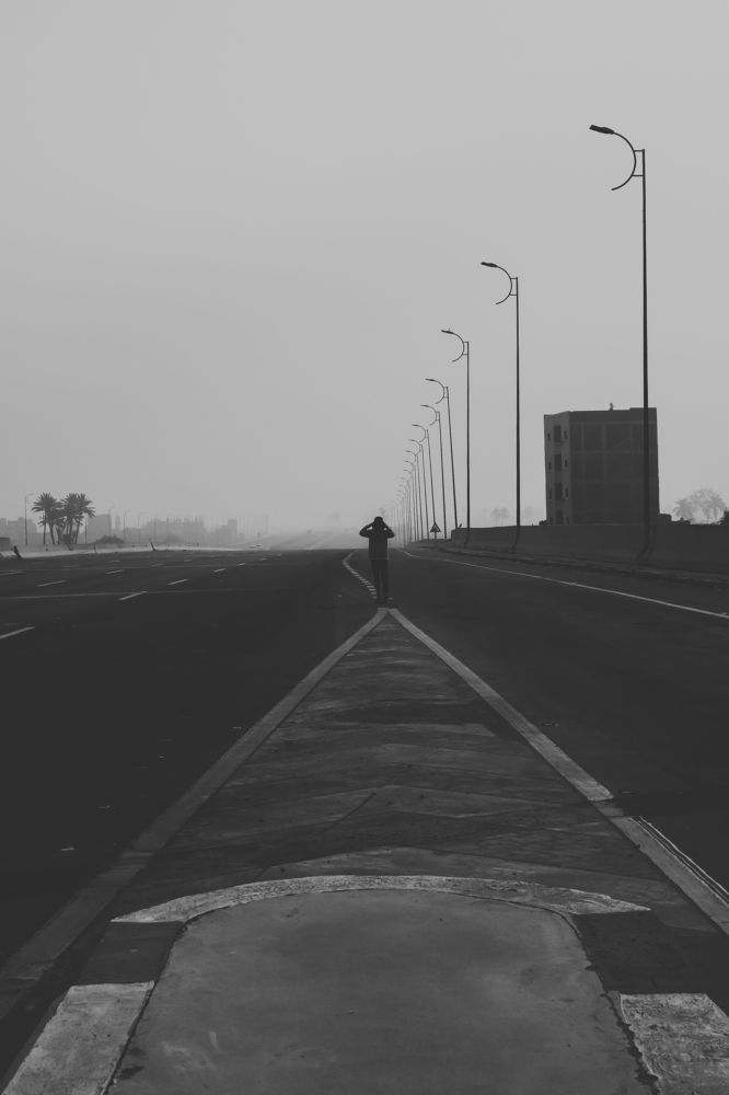 Фотография автора Adel elqamhawi Mohamed