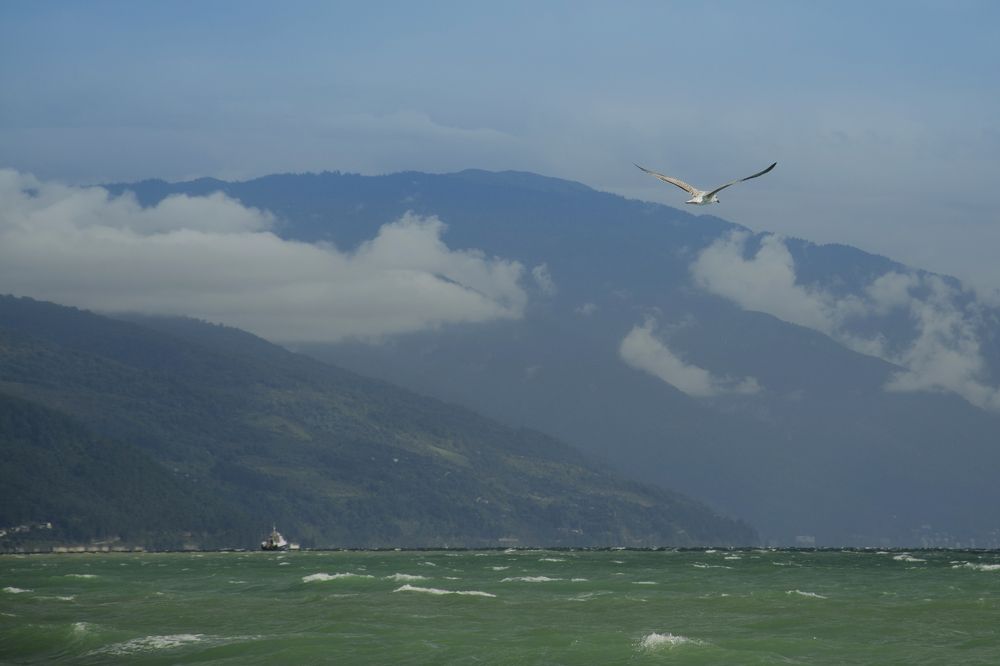 Фотография автора Людмила Куприянова