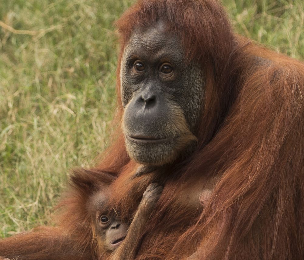 Photograph by klara Neikov