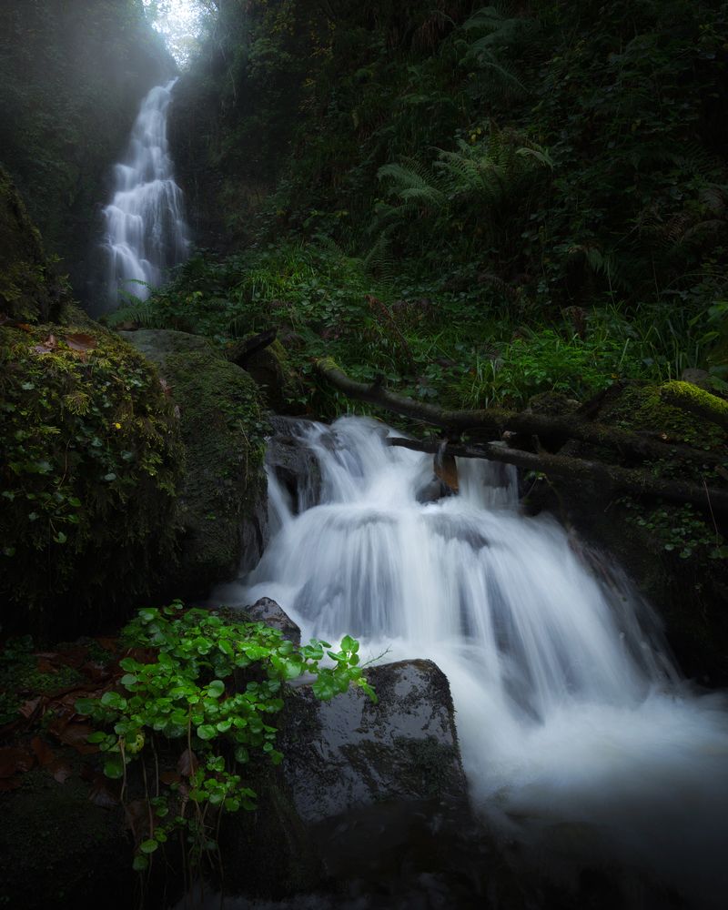 Photograph by Sergio Diaz