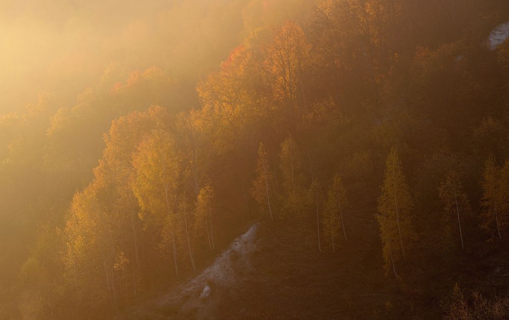 Photograph by Бычков Денис