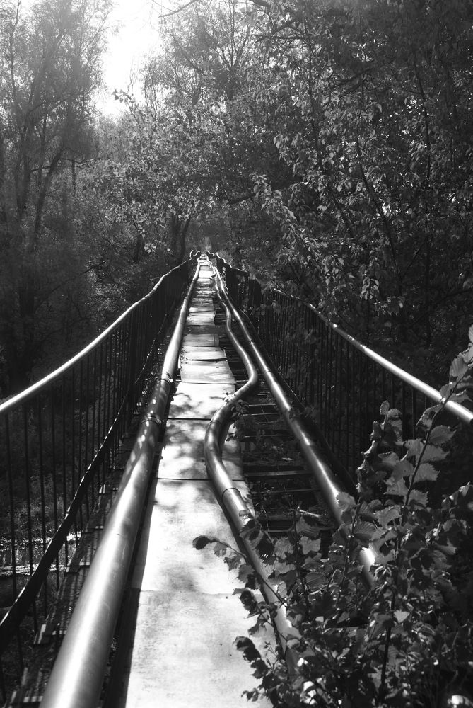 Photograph by Надежда Гаазе