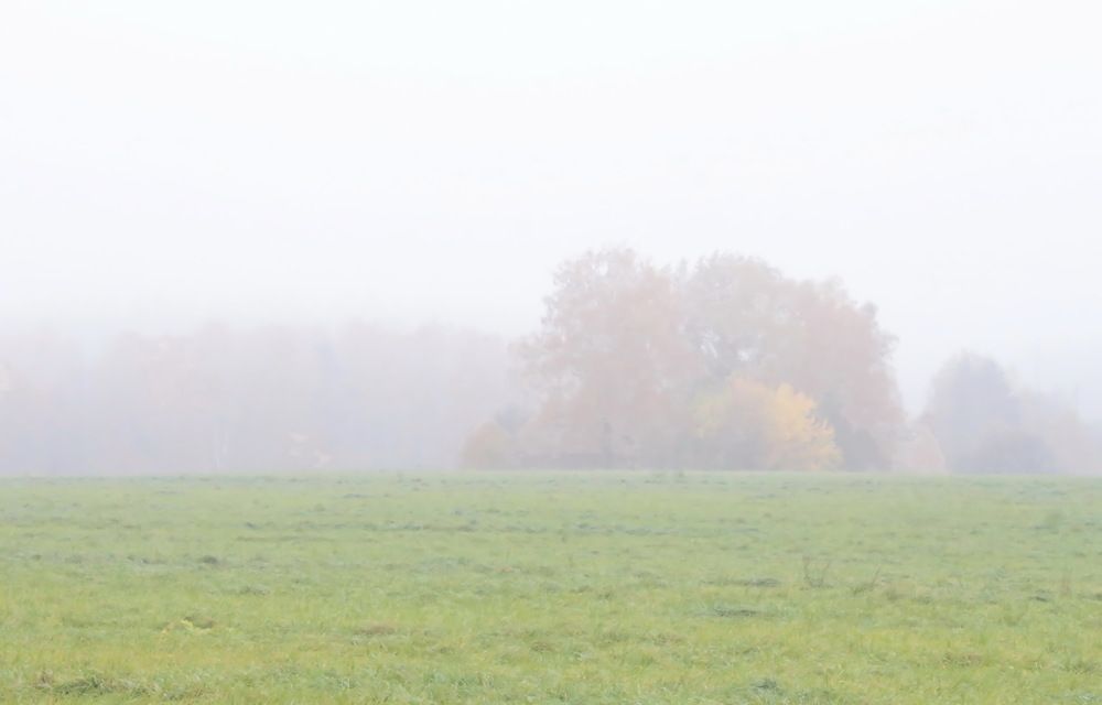 Photograph by Aleksandr Larionov