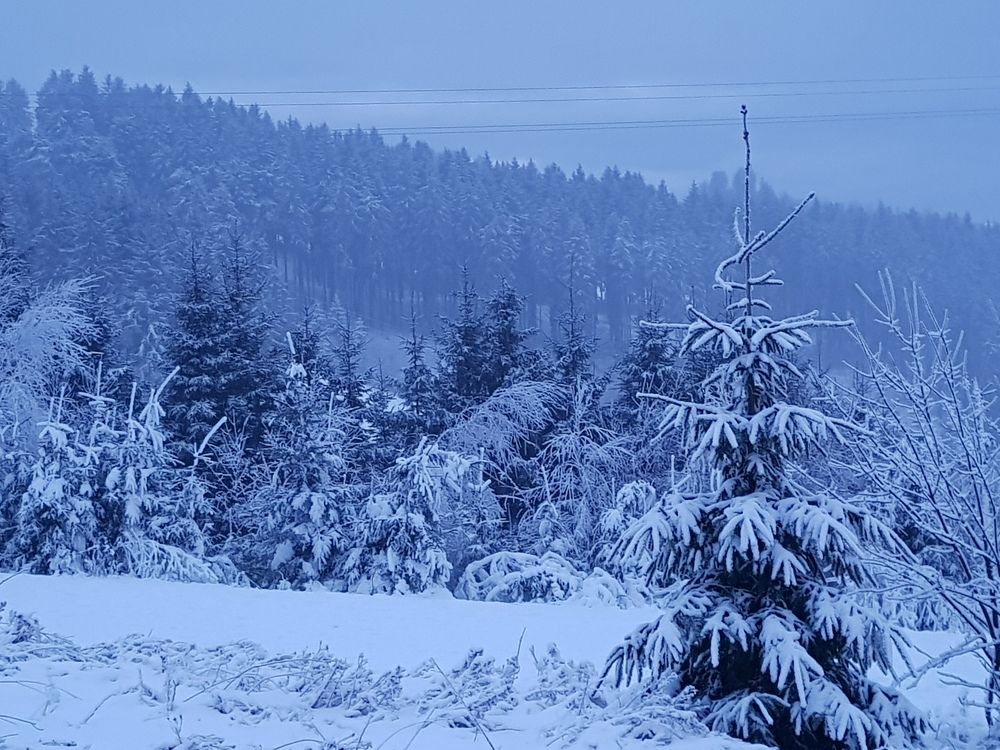 Photograph by Blue Eyes