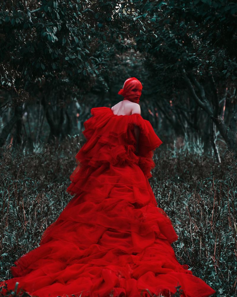 Photograph by alireza sahebi