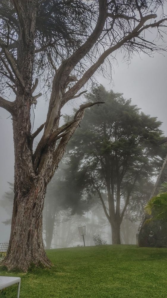 Photograph by Nileydi Colmenarez