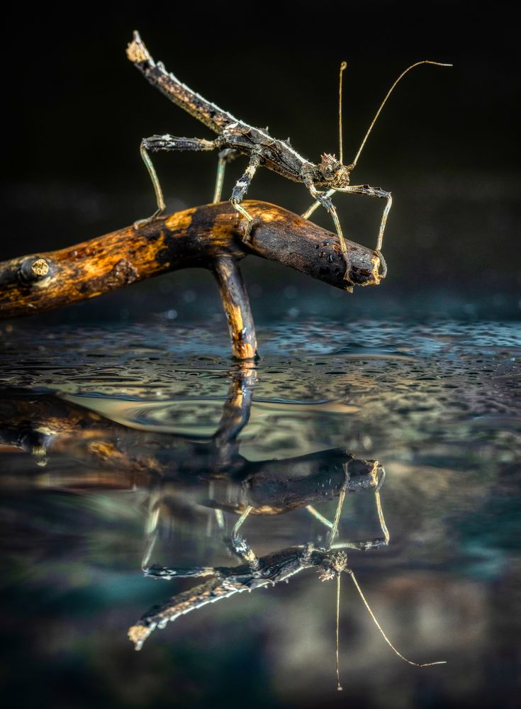 Photograph by савицкий олег