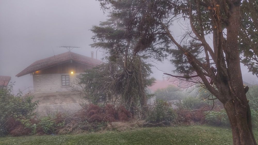 Photograph by Nileydi Colmenarez