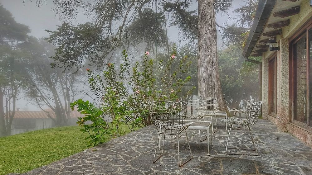 Photograph by Nileydi Colmenarez