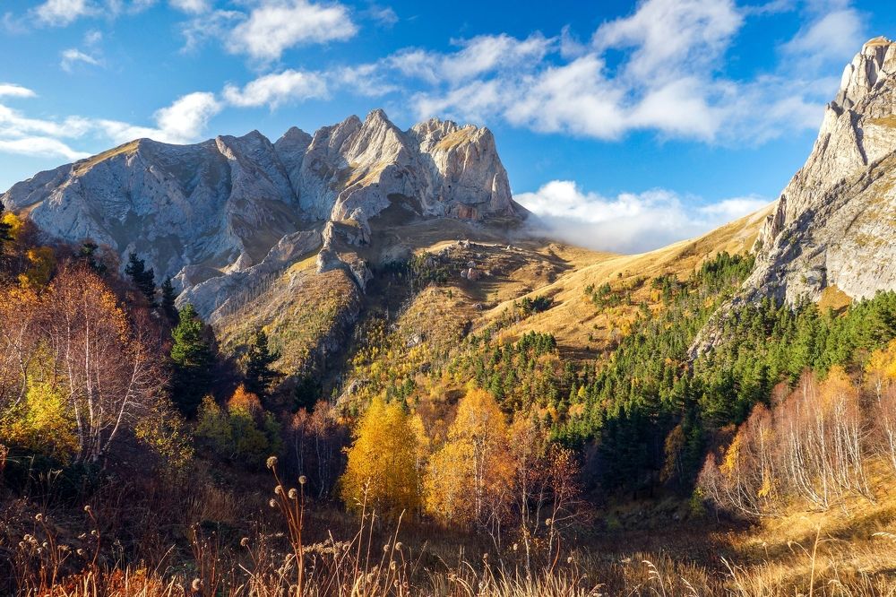 Photograph by Владимир Ганюшкин