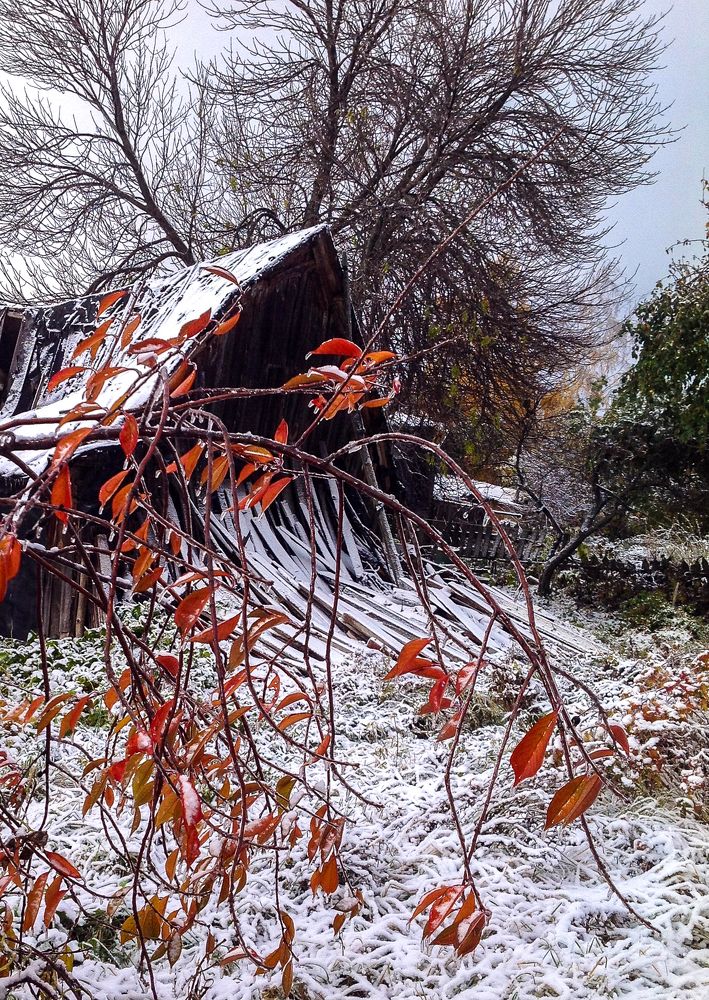 Photograph by Виктор Поверенов