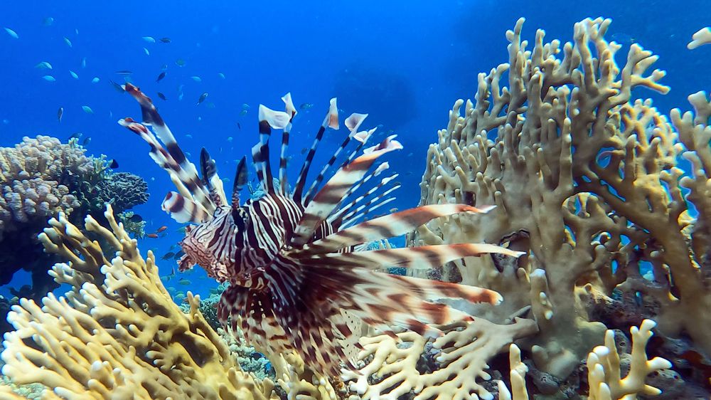 Photograph by Мария Берёзка