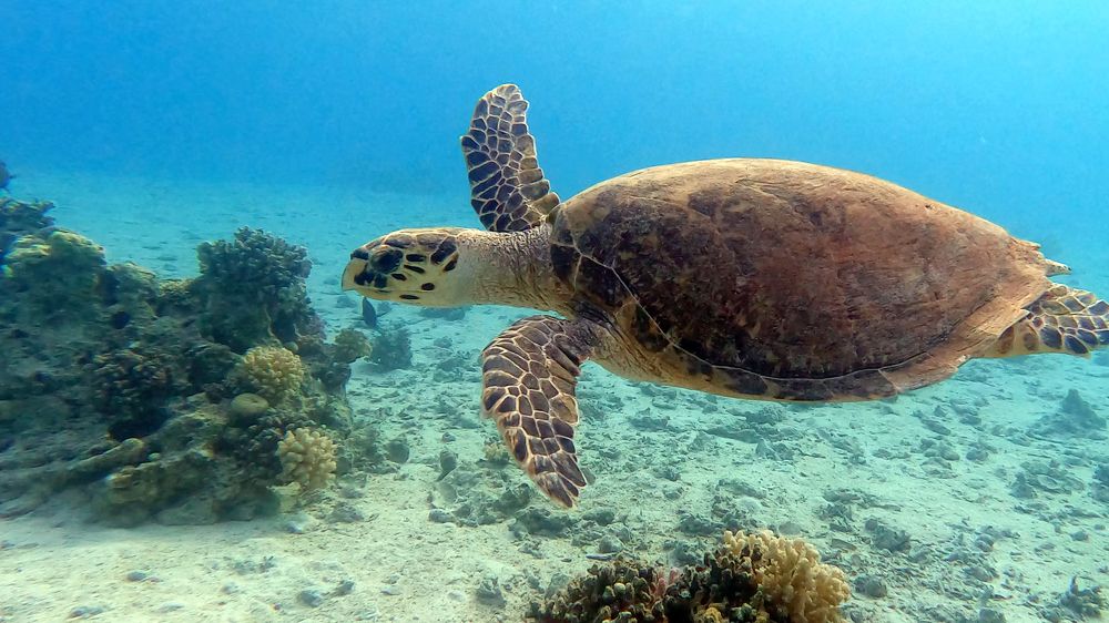 Photograph by Мария Берёзка