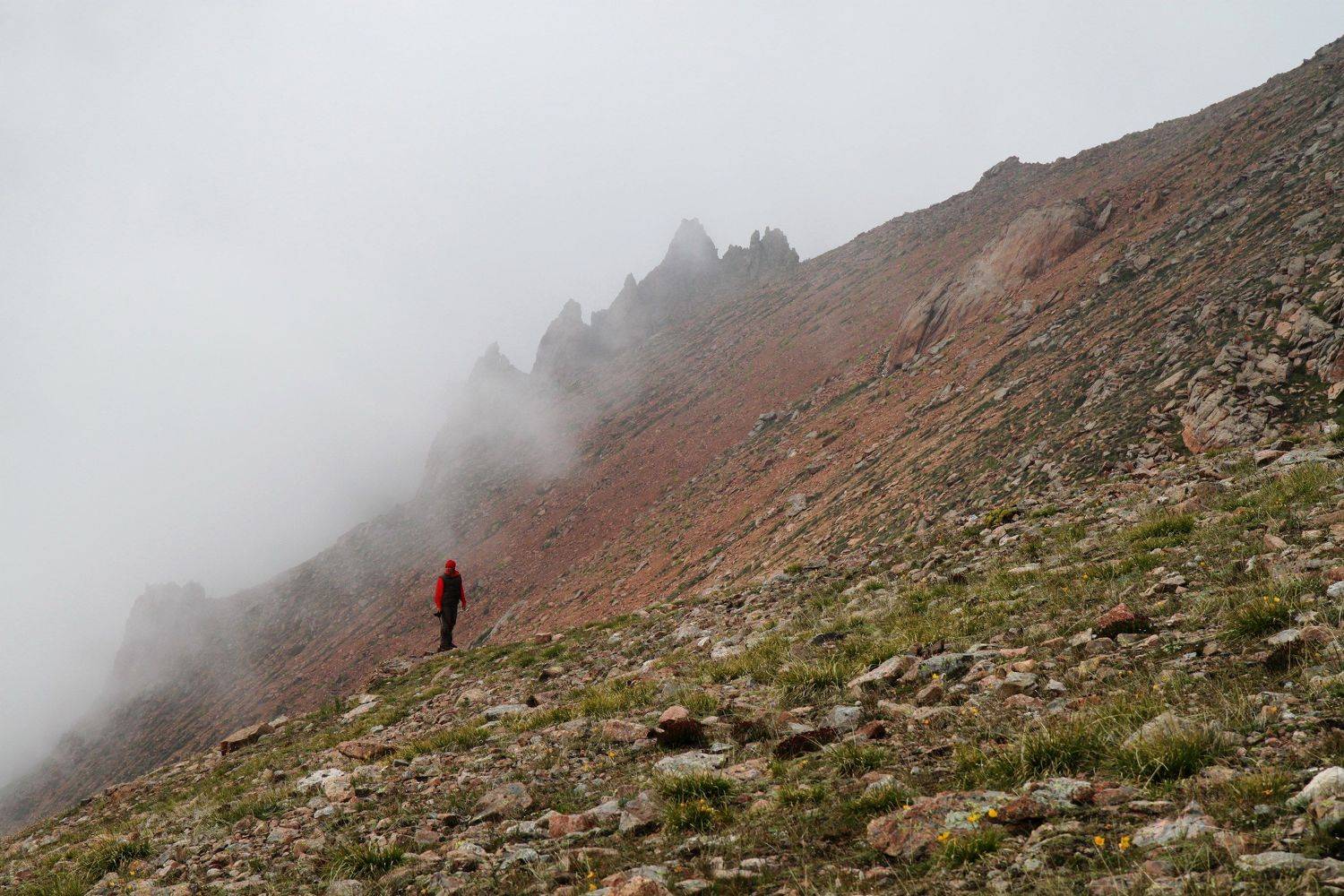 Photo #6836301