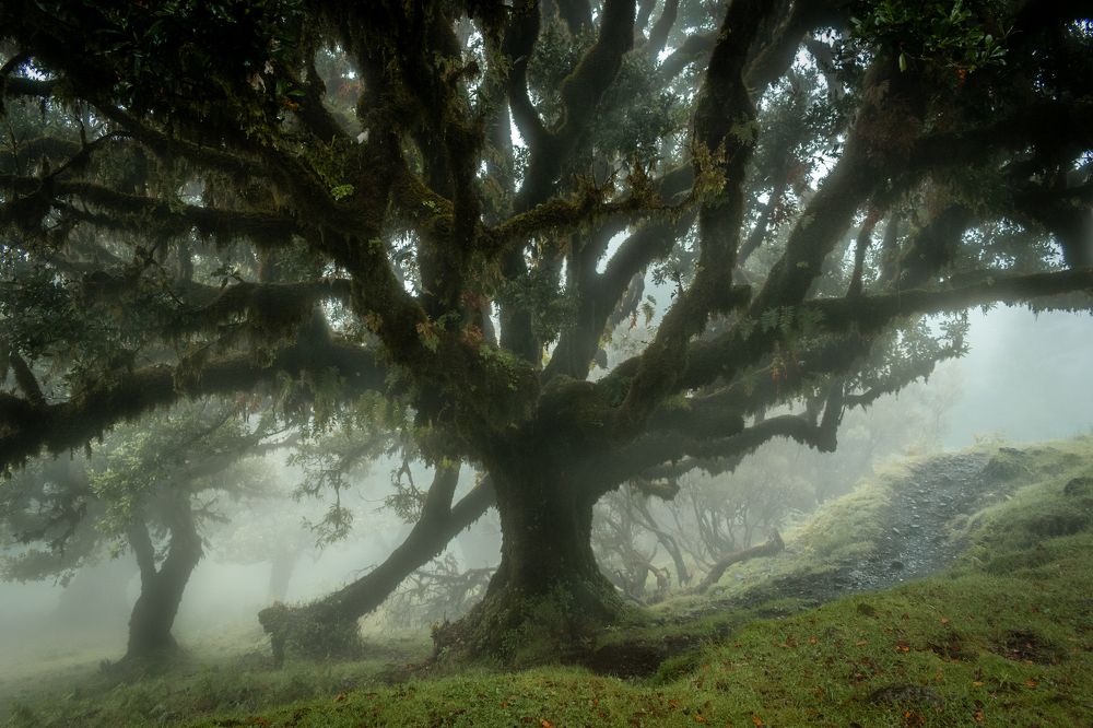 Photograph by Olena Pfister