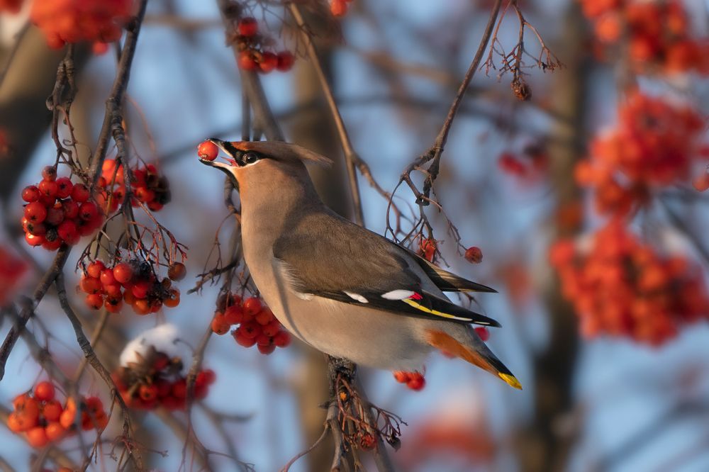 Photograph by Viktor Makarov
