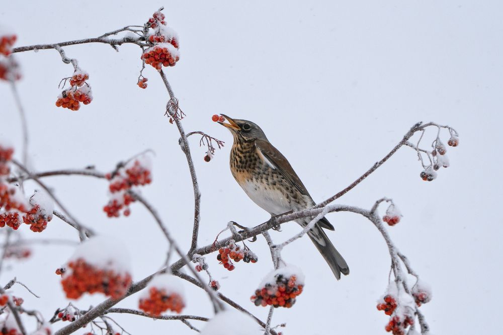 Photograph by Viktor Makarov