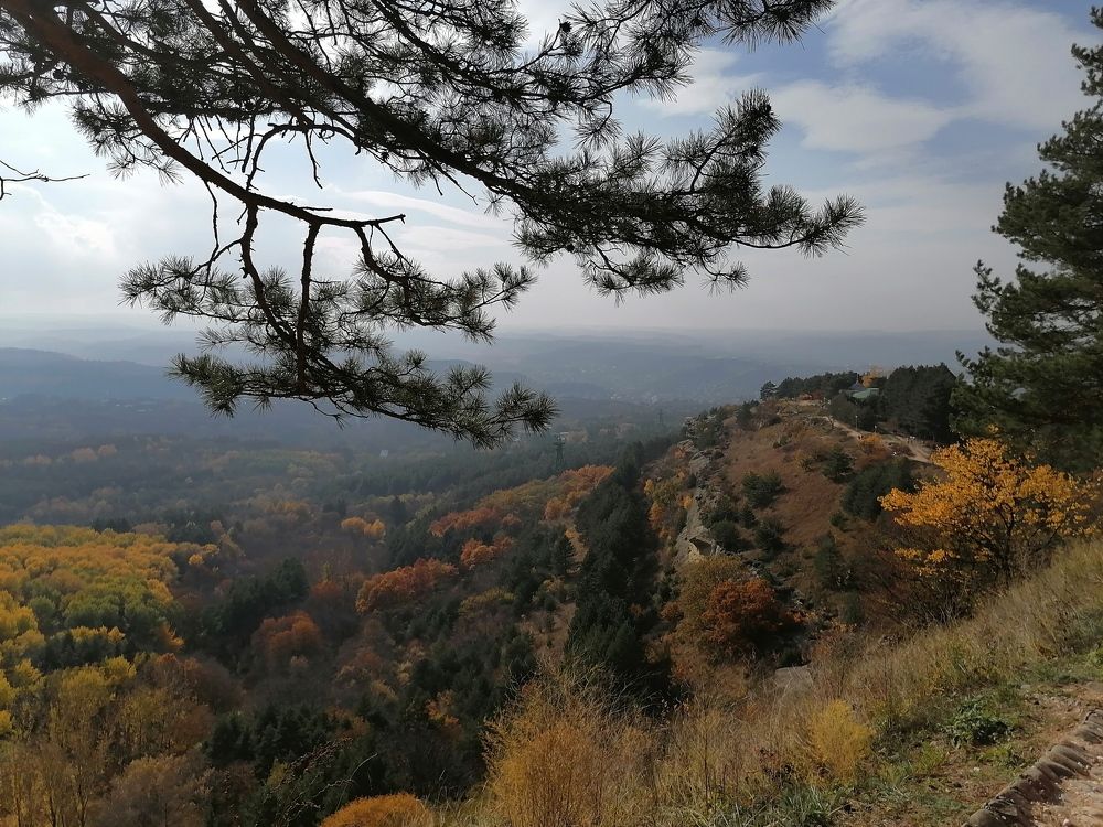 Курортный парк