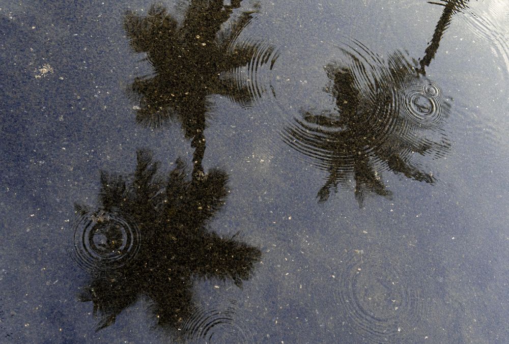 Photograph by Hitesh Sawai