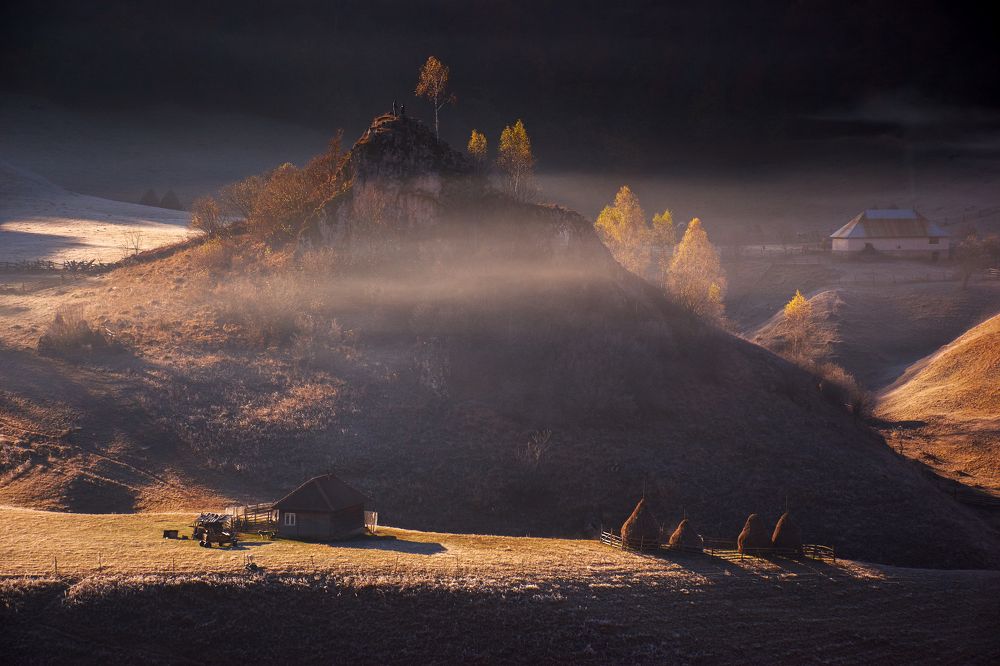 Фотография автора Ceausescu Adriana