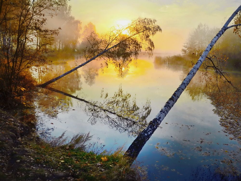 Photograph by Владимир Тертышник