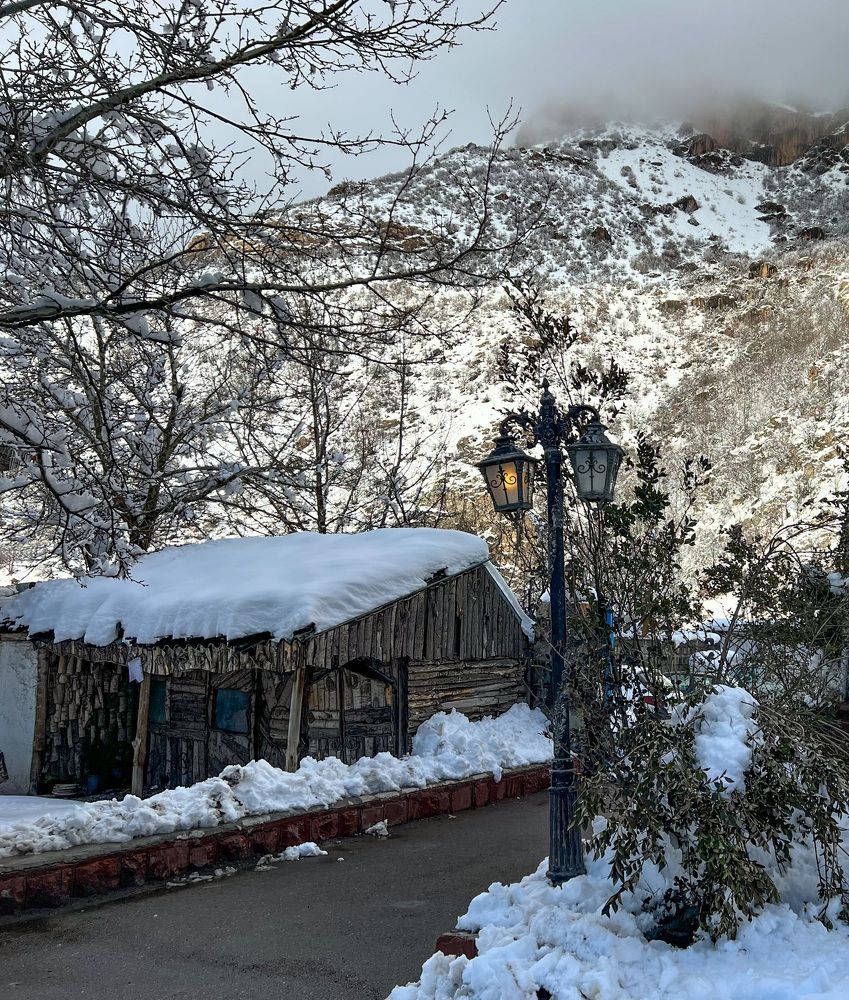 Photograph by roya razaghi