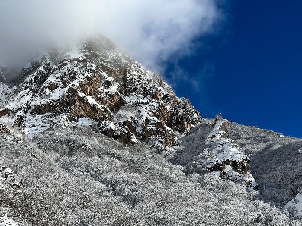 Photograph by roya razaghi