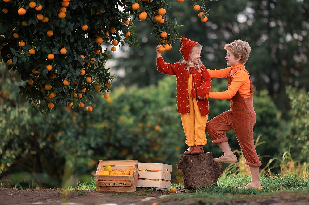 Мандаринки