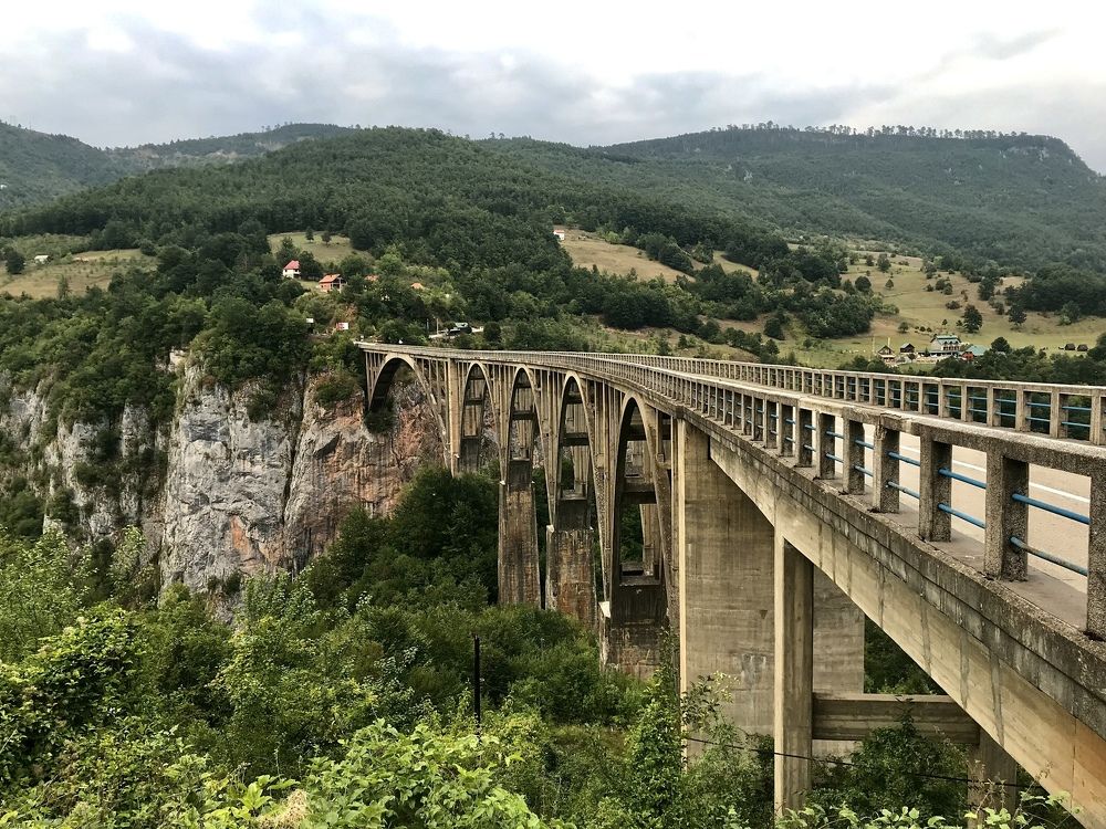 Photograph by Шестакова Наталья