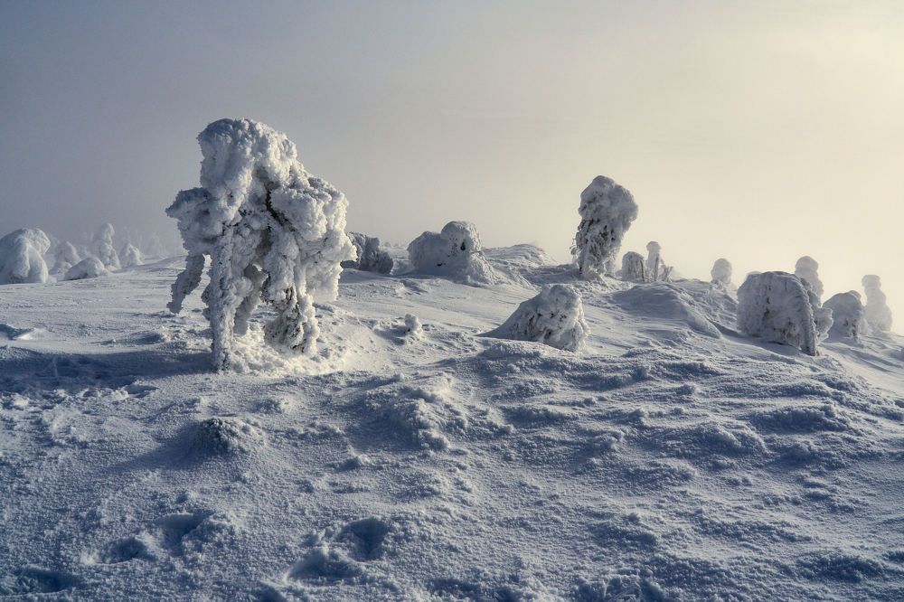 Photograph by Александр Авдушев