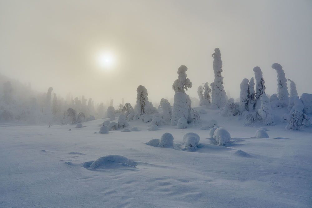 Photograph by Александр Авдушев