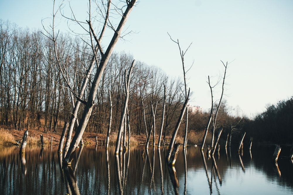 Photograph by Наталья Шёлкова