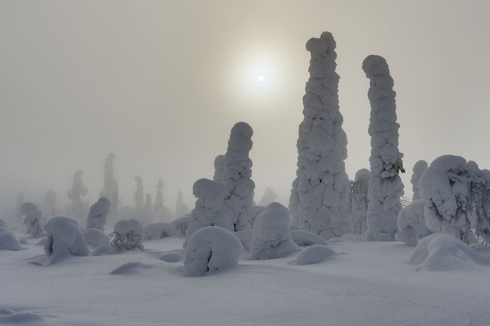 Photograph by Александр Авдушев