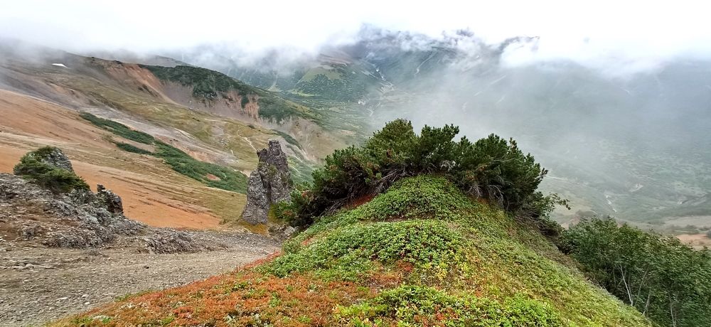 Камчатка