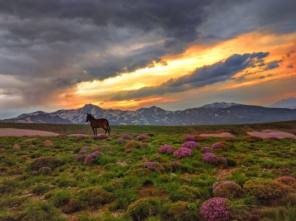 Photograph by Ali goreishi