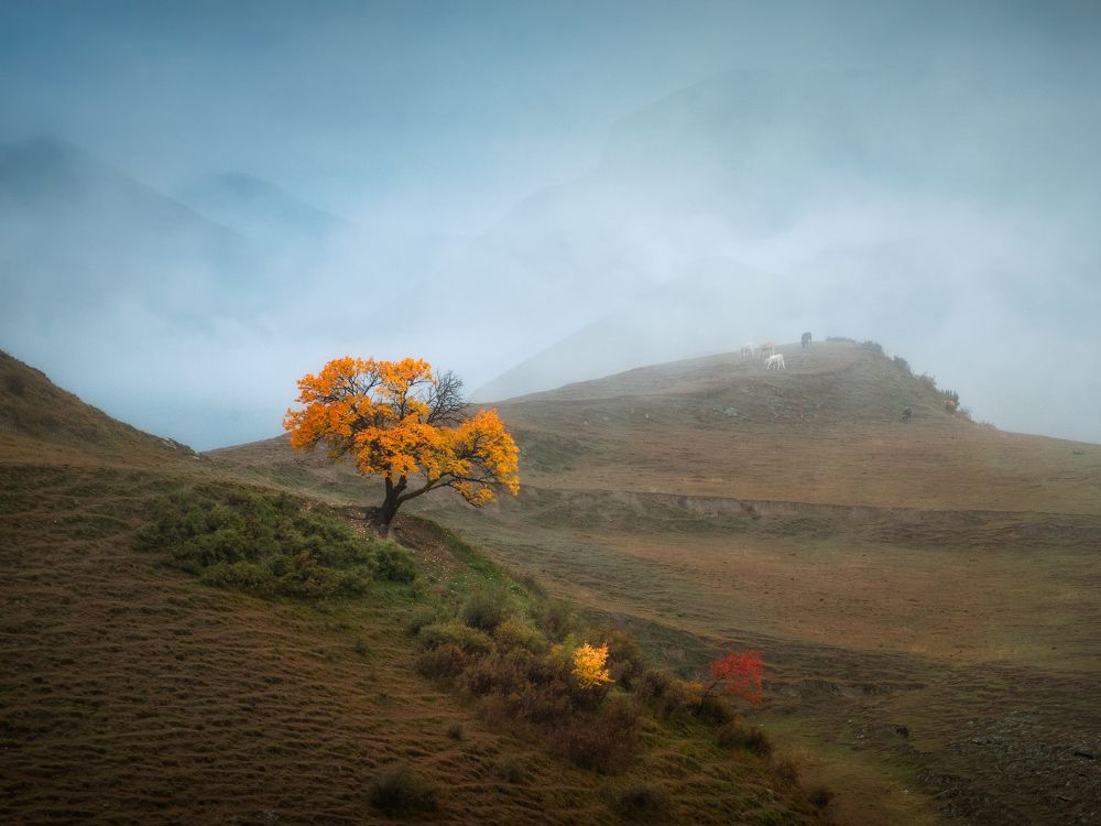 Photograph by Cтанислав Малых