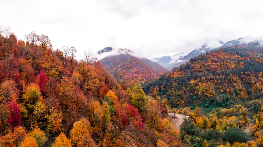 Photograph by Seyad Sajad Mirrahimi Daryasari