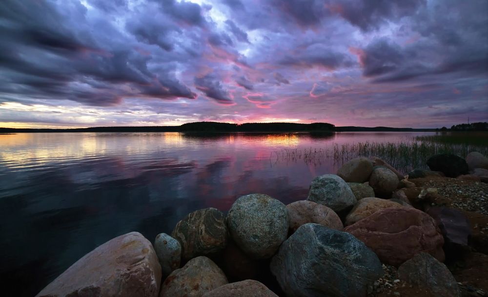Фотография автора Тамара Бучарская