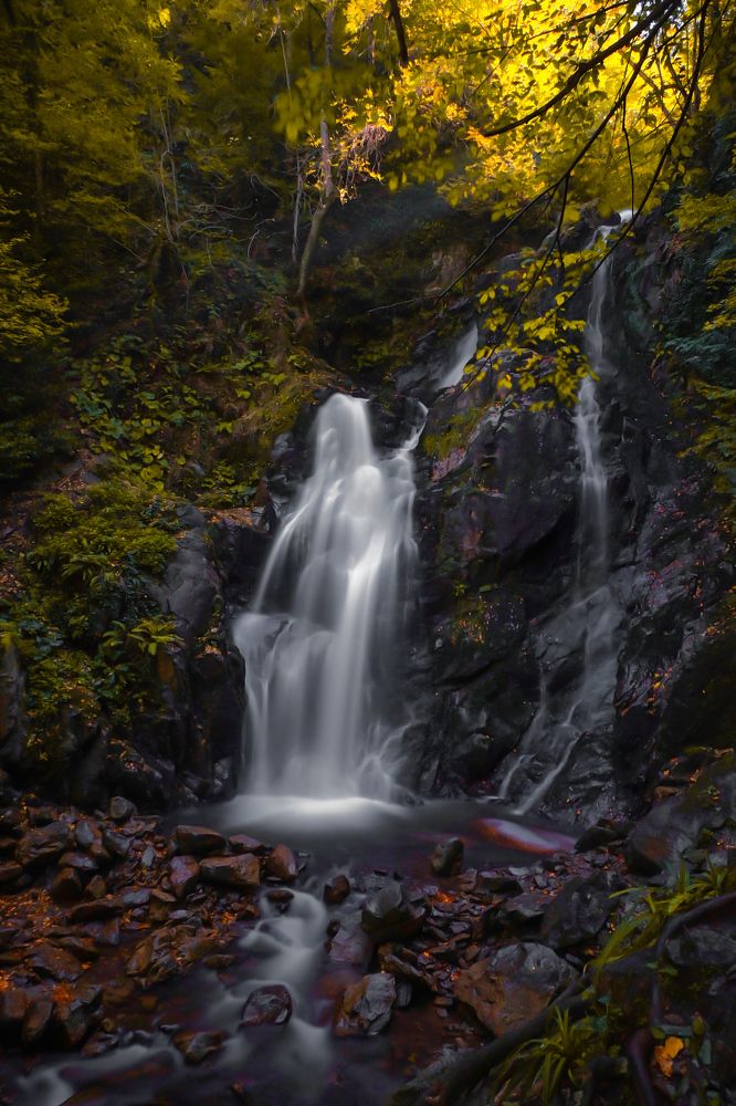 Photograph by Ali Kamil Seren