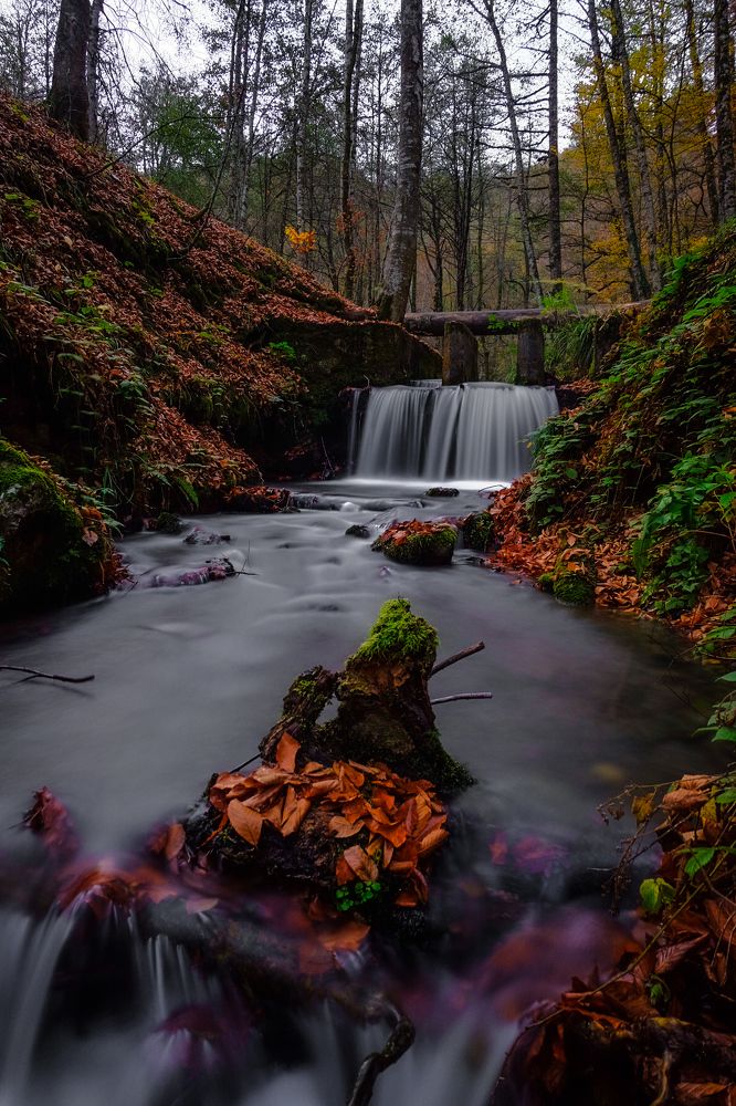 Photograph by Ali Kamil Seren