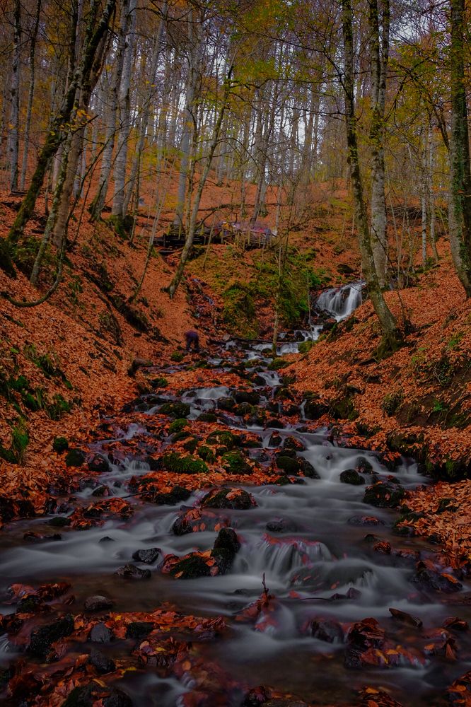 Photograph by Ali Kamil Seren