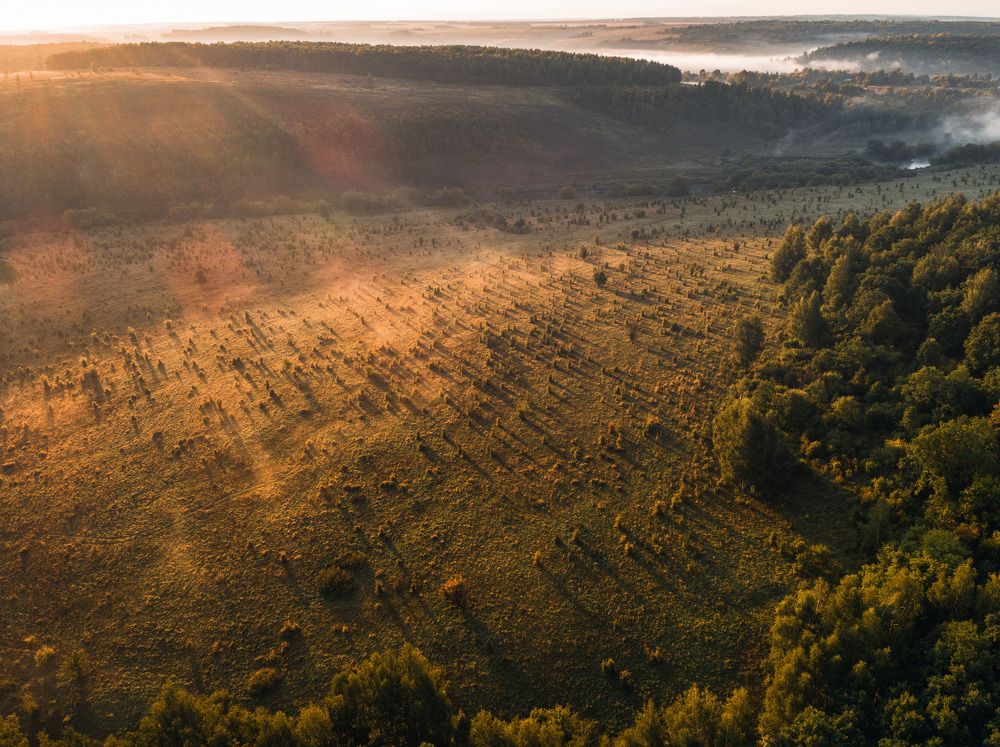Photograph by Барабанов Алексей