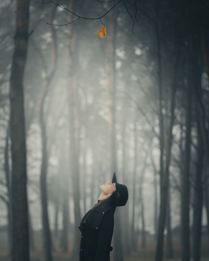 Photograph by Michał Maciak