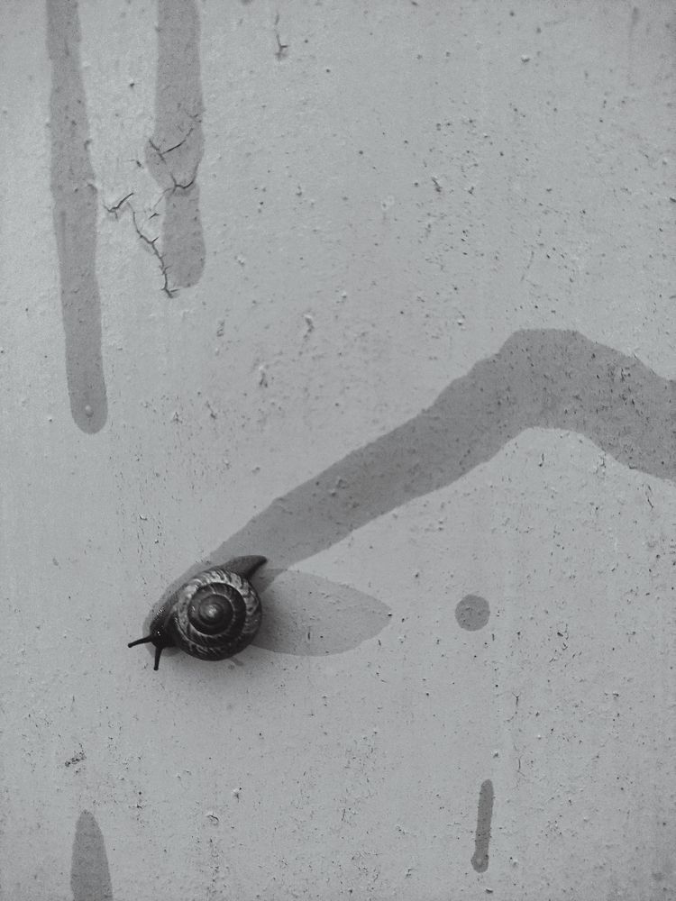 Photograph by Алёна Шматова