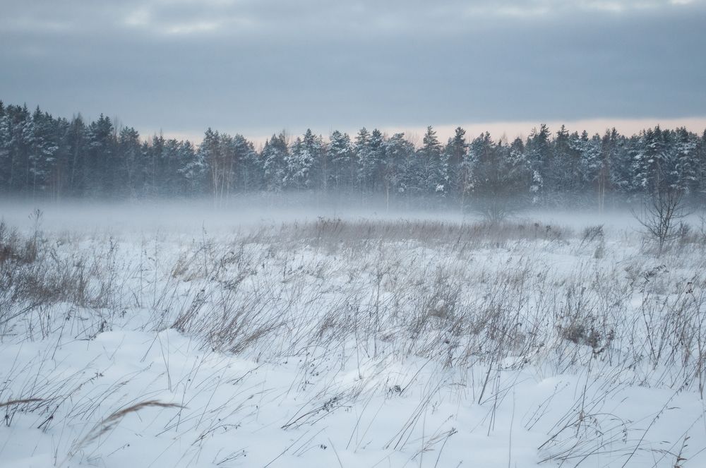 Photograph by Алёна Шматова