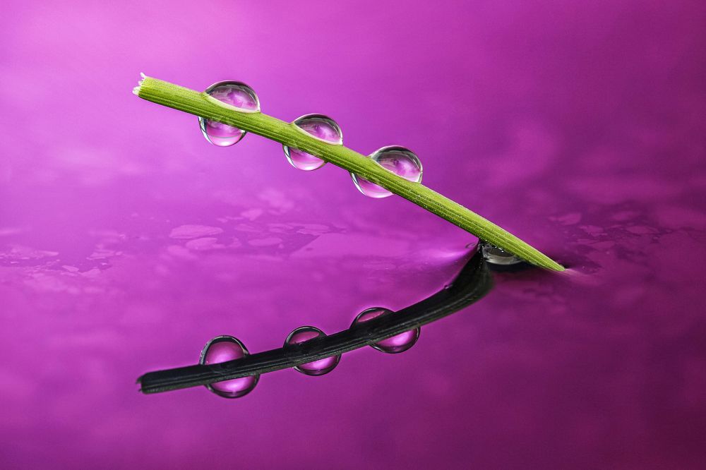 Photograph by António Manuel de Pereira