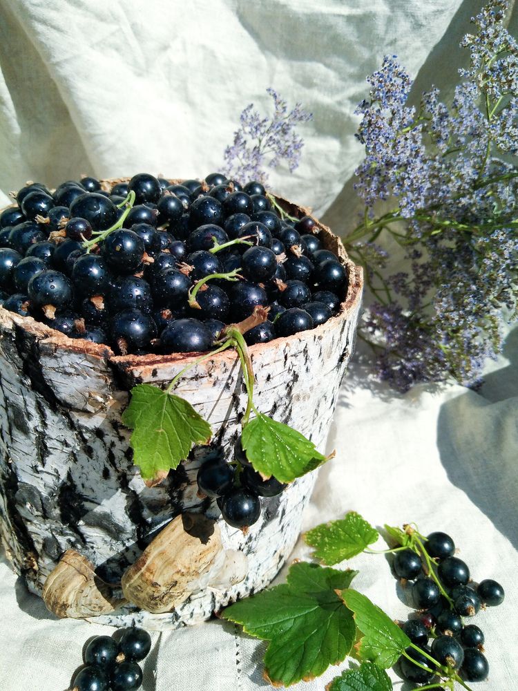 Photo #6837115