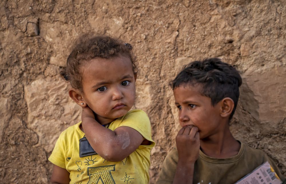 Фотография автора Aylin Turnator