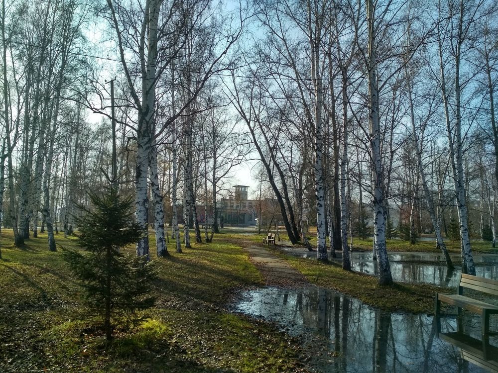 Photograph by Ольга Васильева